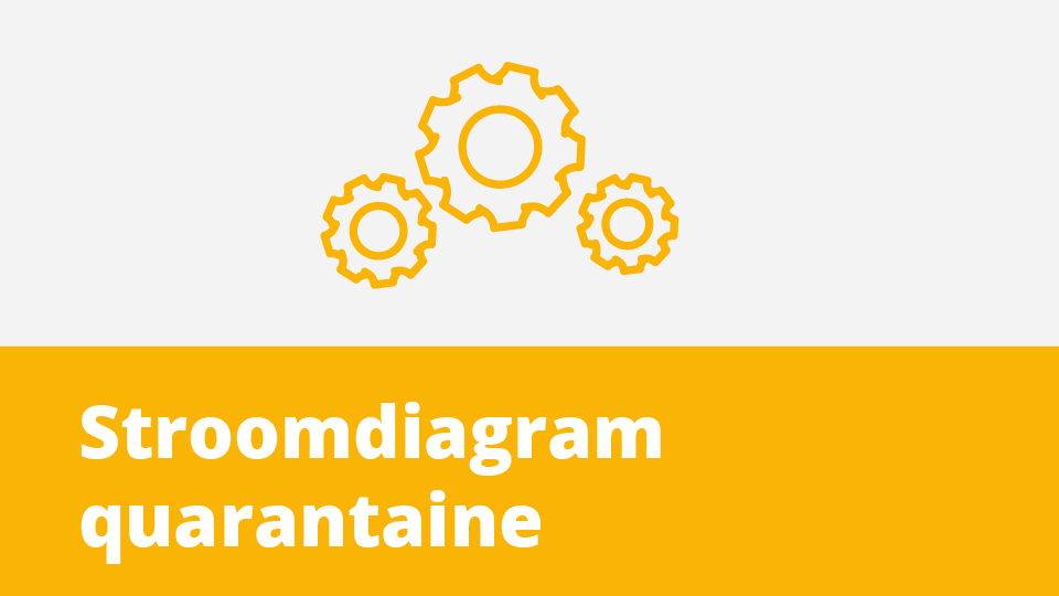 Stroomdiagram quarantaine