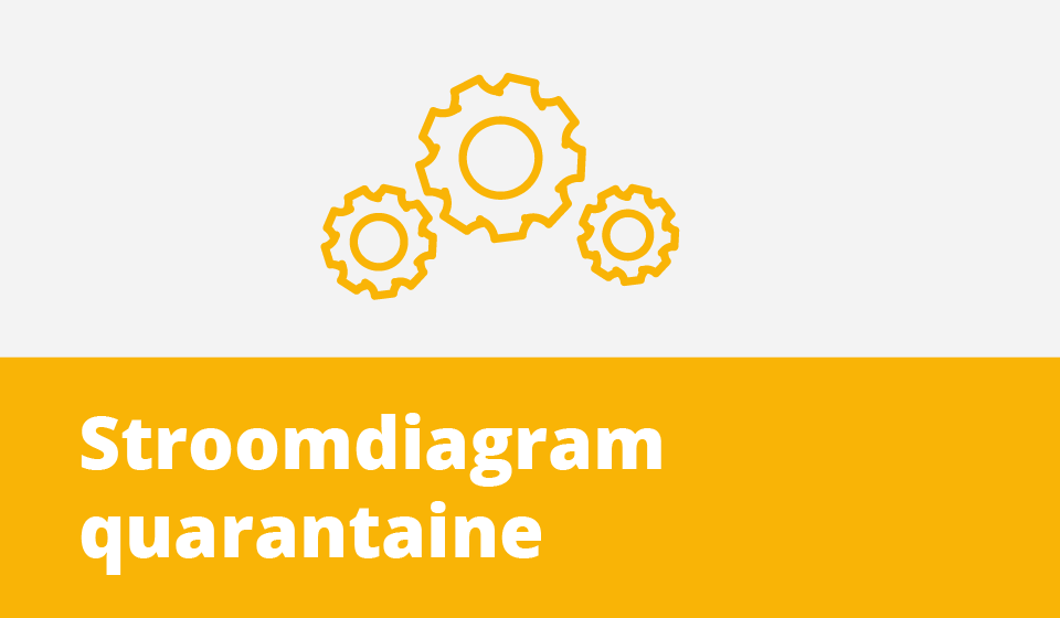 Stroomdiagram quarantaine